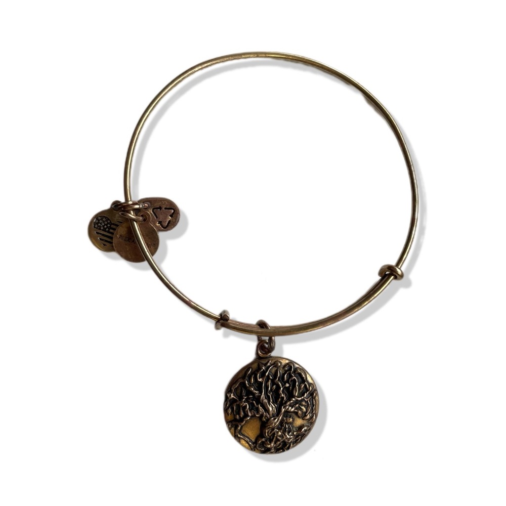 Alex and Ani tree of like bracelet. Gold bracelet. Tree of life.  Adjustable.